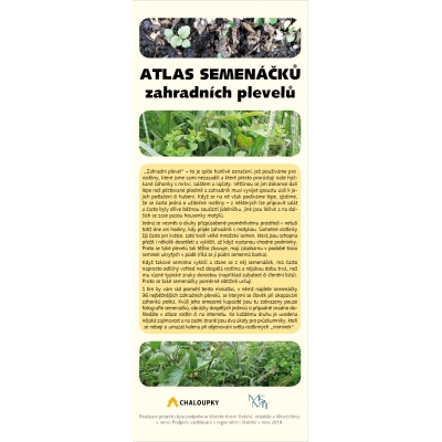 Atlas semenáčků zahradních plevelů
