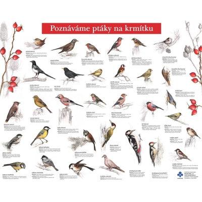 Naučná tabule - ptáci na krmítku